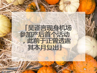 吴谨言现身机场参加产后首个活动，此前于正曾透露其本月复出