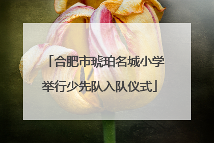 合肥市琥珀名城小学举行少先队入队仪式