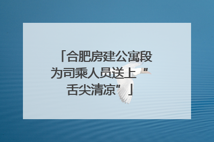 合肥房建公寓段为司乘人员送上“舌尖清凉”