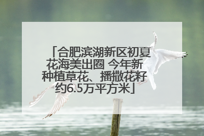 合肥滨湖新区初夏花海美出圈 今年新种植草花、播撒花籽约6.5万平方米