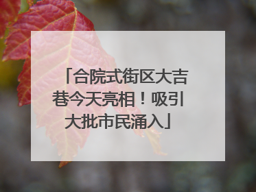 合院式街区大吉巷今天亮相！吸引大批市民涌入