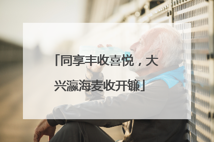 同享丰收喜悦，大兴瀛海麦收开镰