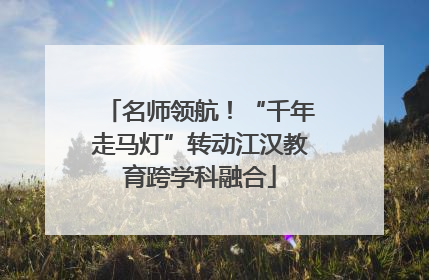 名师领航！“千年走马灯”转动江汉教育跨学科融合