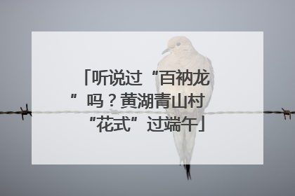 听说过“百衲龙”吗？黄湖青山村“花式”过端午