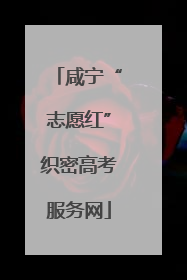 咸宁“志愿红”织密高考服务网