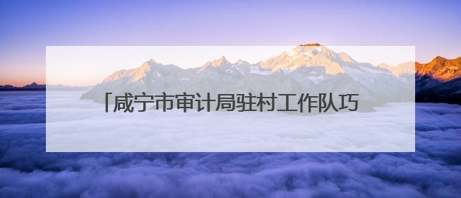咸宁市审计局驻村工作队巧用“三招”点亮美丽乡村