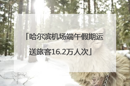 哈尔滨机场端午假期运送旅客16.2万人次