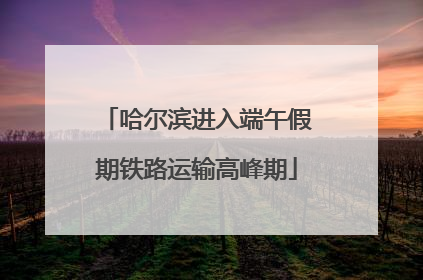 哈尔滨进入端午假期铁路运输高峰期