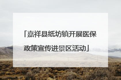 嘉祥县纸坊镇开展医保政策宣传进景区活动
