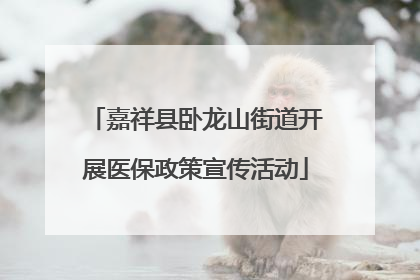 嘉祥县卧龙山街道开展医保政策宣传活动