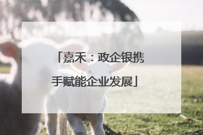 嘉禾：政企银携手赋能企业发展