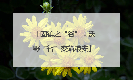 固镇之“谷”：沃野“智”变筑粮安
