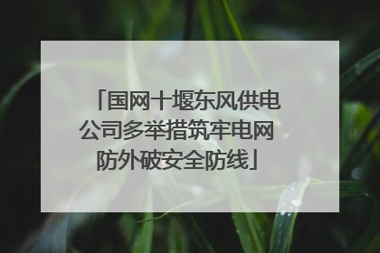 国网十堰东风供电公司多举措筑牢电网防外破安全防线