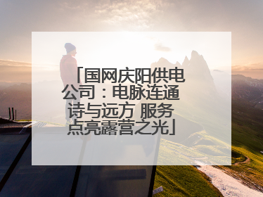 国网庆阳供电公司：电脉连通诗与远方 服务点亮露营之光