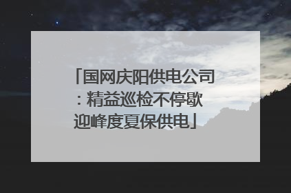 国网庆阳供电公司：精益巡检不停歇 迎峰度夏保供电