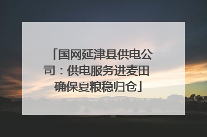 国网延津县供电公司：供电服务进麦田 确保夏粮稳归仓