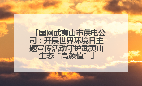 国网武夷山市供电公司：开展世界环境日主题宣传活动守护武夷山生态“高颜值”
