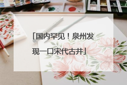 国内罕见！泉州发现一口宋代古井