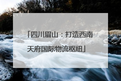 四川眉山：打造西南天府国际物流枢纽