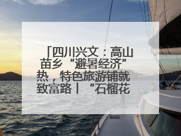 四川兴文：高山苗乡“避暑经济”热，特色旅游铺就致富路丨“石榴花开”四川行⑧