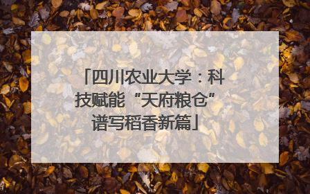 四川农业大学：科技赋能“天府粮仓”谱写稻香新篇