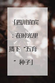四川宜宾：在时光里播下“五育”种子