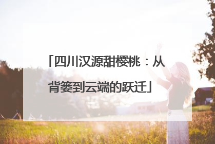 四川汉源甜樱桃：从背篓到云端的跃迁