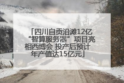 四川自贡沿滩12亿“智算服务器”项目亮相西博会 投产后预计年产值达15亿元