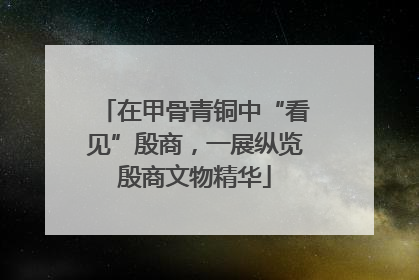 在甲骨青铜中“看见”殷商，一展纵览殷商文物精华