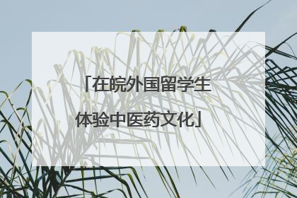 在皖外国留学生体验中医药文化