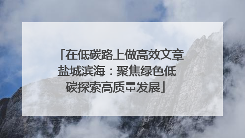在低碳路上做高效文章 盐城滨海：聚焦绿色低碳探索高质量发展