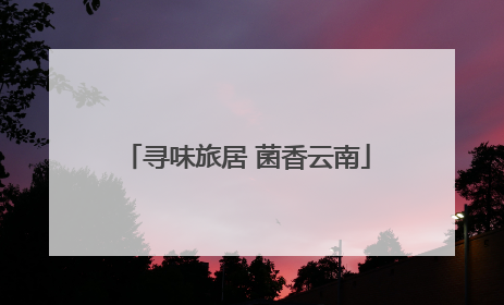 寻味旅居 菌香云南