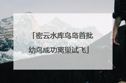 密云水库鸟岛首批幼鸟成功离巢试飞