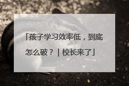 孩子学习效率低，到底怎么破？｜校长来了