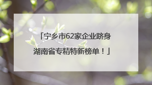 宁乡市62家企业跻身湖南省专精特新榜单！