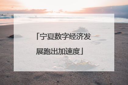 宁夏数字经济发展跑出加速度