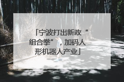 宁波打出新政“组合拳”，加码人形机器人产业