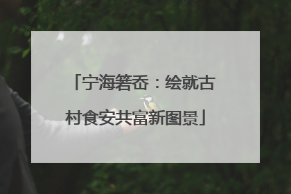 宁海箬岙：绘就古村食安共富新图景
