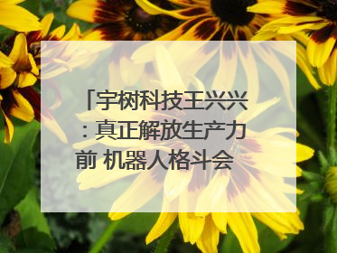 宇树科技王兴兴：真正解放生产力前 机器人格斗会成为全球受欢迎的赛事｜科技观察