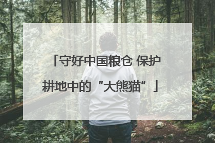 守好中国粮仓 保护耕地中的“大熊猫”