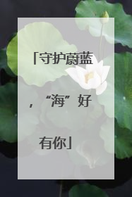 守护蔚蓝，“海”好有你