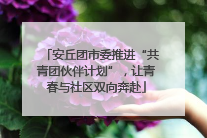 安丘团市委推进“共青团伙伴计划”，让青春与社区双向奔赴