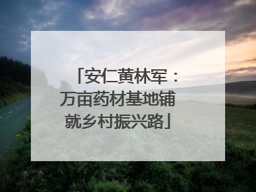 安仁黄林军：万亩药材基地铺就乡村振兴路
