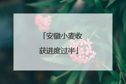 安徽小麦收获进度过半