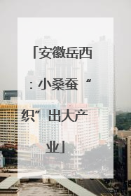 安徽岳西：小桑蚕“织”出大产业