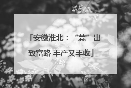 安徽淮北：“蒜”出致富路 丰产又丰收