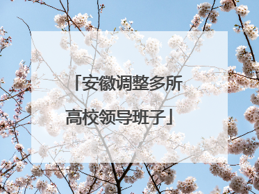 安徽调整多所高校领导班子