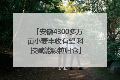 安徽4300多万亩小麦丰收有望 科技赋能颗粒归仓