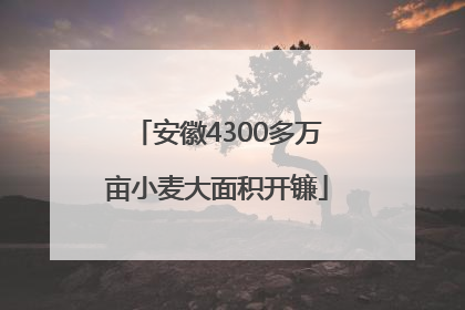 安徽4300多万亩小麦大面积开镰