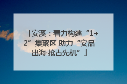 安溪：着力构建“1+2”集聚区 助力“安品出海·抢占先机”